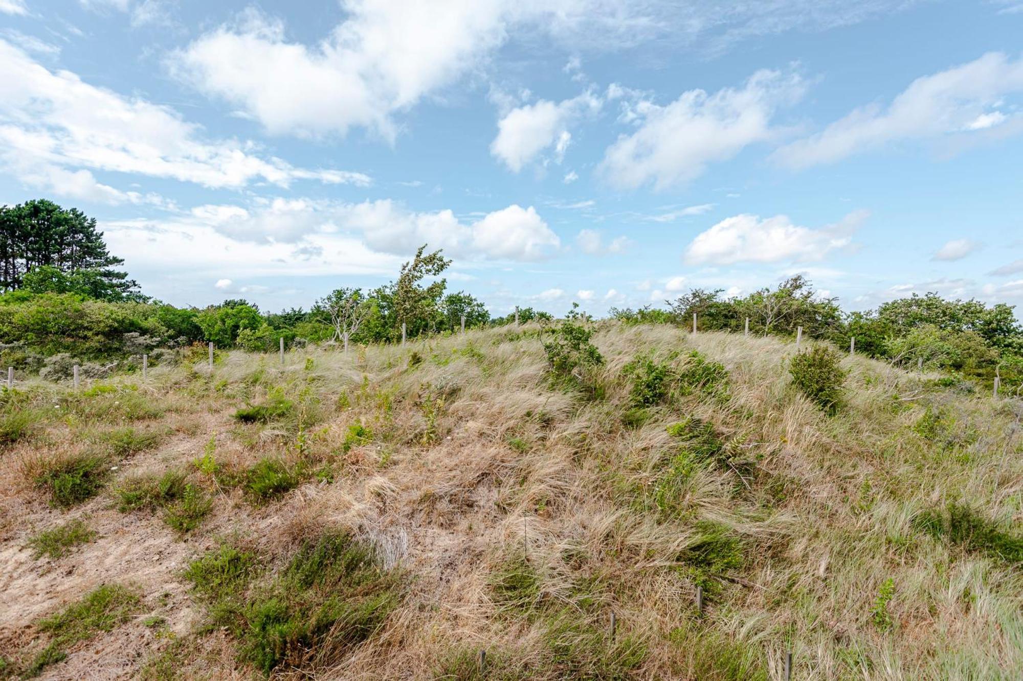 Dune Villa 7 Зандвоорт Екстериор снимка